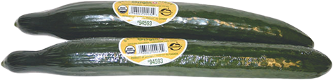 Long English Cucumbers