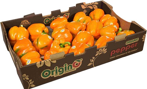 Orange Bell Peppers