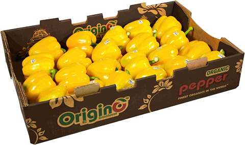 Yellow Bell Peppers